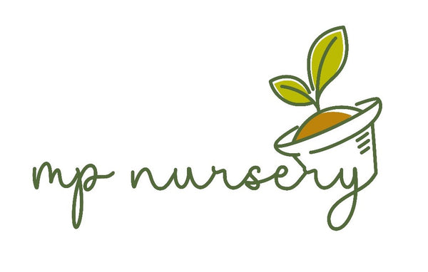 M&P Nursery