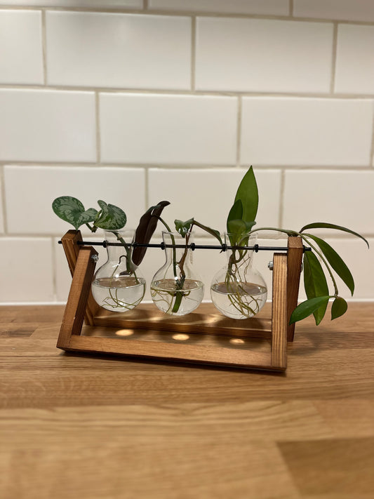 Original Plant Propagation Station